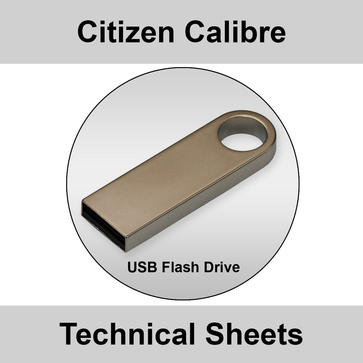 Citizen Movement Technical Sheets USB – Redroosteruk