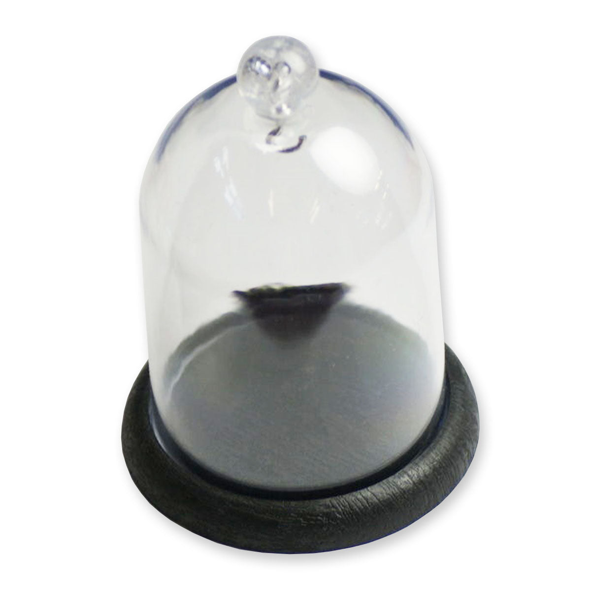 Pocket watch display dome plastic stand holder hanging pocketwatch DUST COVER