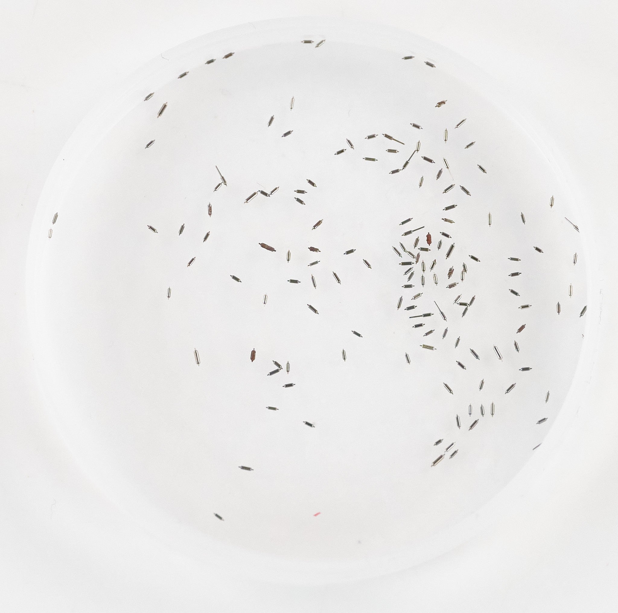 100x Lever Staff Pins For Pallet Forks Watch Repair Watchmaker Parts New Mixed