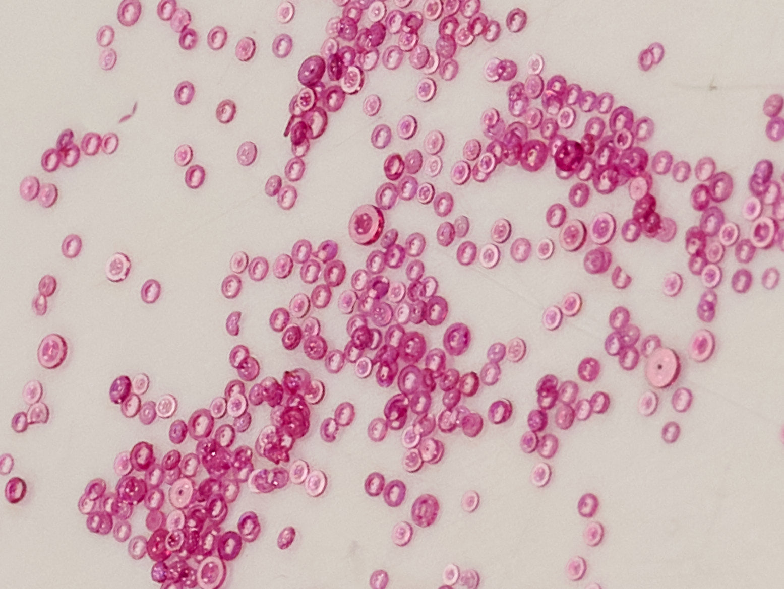 100x Holed Watch Jewels New Old Stock Repair Ruby Hole Watchmakers Jewel Parts